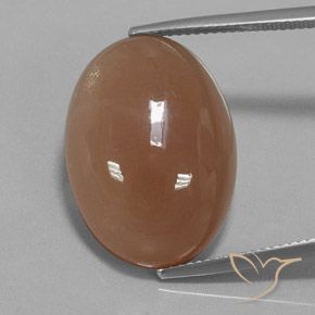 19.57ct 天然 中褐色 月长石, 椭圆形, 半透明