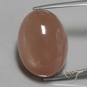 29.74ct 天然 棕色 月长石, 椭圆形, 不透明