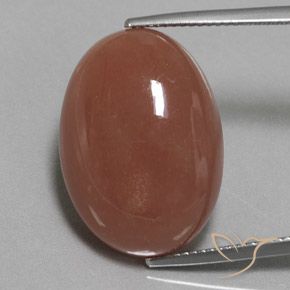 22.59ct 天然 中褐色 月长石, 椭圆形, 不透明