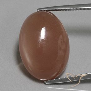 18.61ct 天然 中褐色 月长石, 椭圆形, 半透明