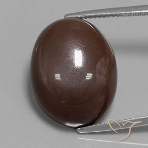 23.33ct 天然 中褐色 月长石, 椭圆形, 不透明