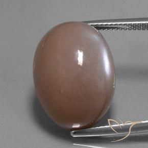 24.60ct 天然 中浅棕色 月长石, 椭圆形, 半透明