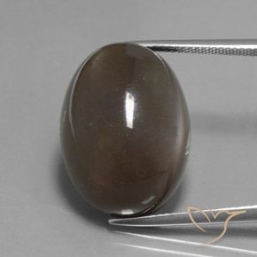 27.12ct 天然 棕褐色 月长石, 椭圆形, 半透明