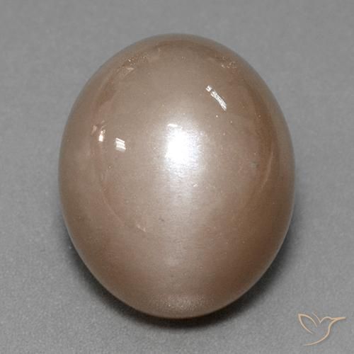 41.53ct 天然 中性棕色 月长石, 椭圆形, 不透明