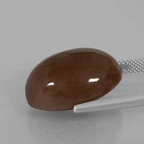 20.25克拉天然月光石，椭圆形切割，不透明