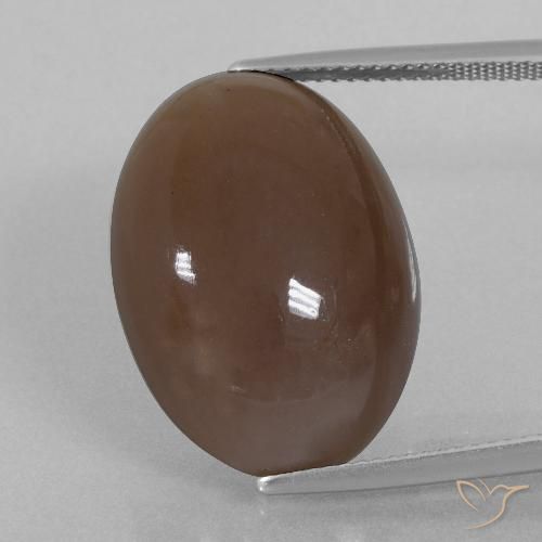 22.40ct 天然 中褐色 月长石, 椭圆形, 不透明