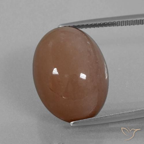 21.86ct 天然 棕色 月长石, 椭圆形, 不透明