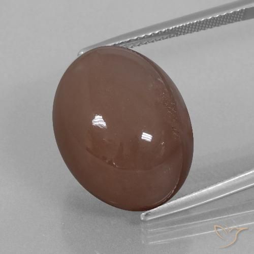 25.76ct 天然 浓咖啡布朗 月长石, 椭圆形, 不透明