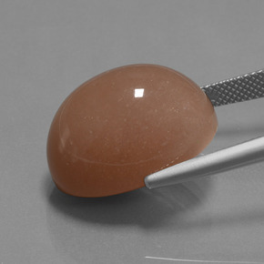 24.57克拉天然月长石，椭圆形切割，不透明