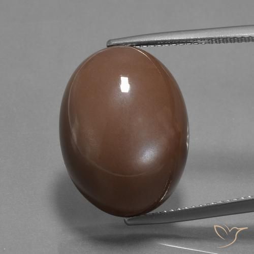 20.43ct 天然 中褐色 月长石, 椭圆形, 不透明