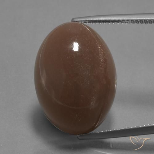 22.67ct 天然 中褐色 月长石, 椭圆形, 不透明