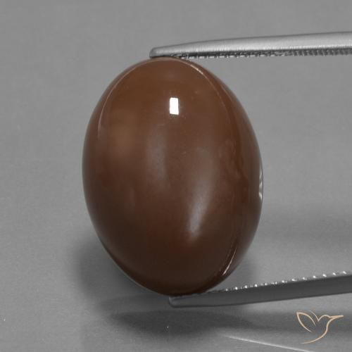 22.27ct 天然 中褐色 月长石, 椭圆形, 不透明
