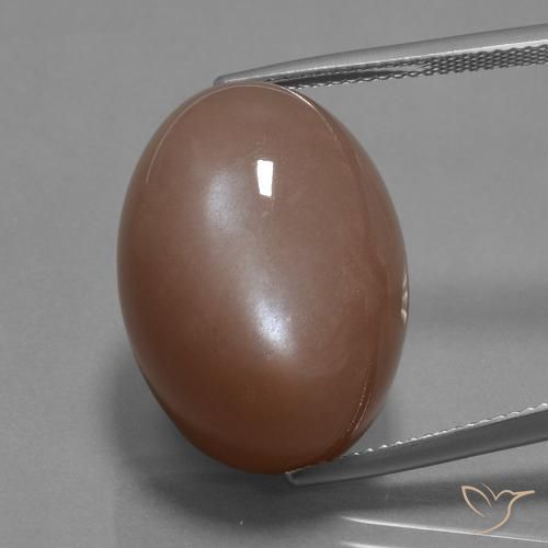 30.59ct 天然 中褐色 月长石, 椭圆形, 不透明