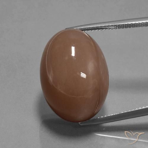 35.65ct 天然 中褐色 月长石, 椭圆形, 不透明