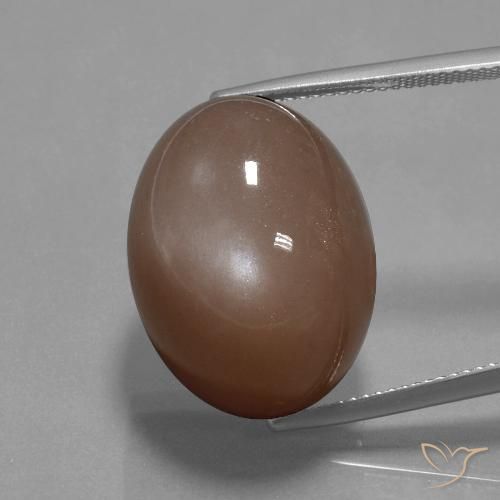 34.59ct 天然 中褐色 月长石, 椭圆形, 不透明
