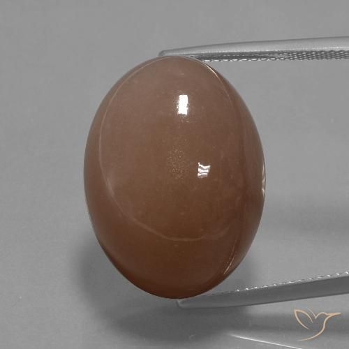32.77ct 天然 棕色 月长石, 椭圆形, 不透明