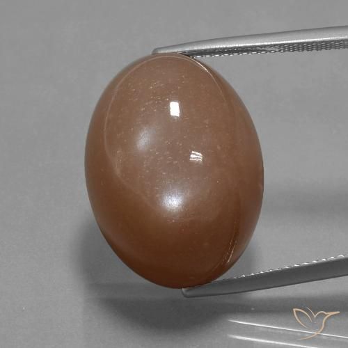 32.77ct 天然 暖棕 月长石, 椭圆形, 不透明