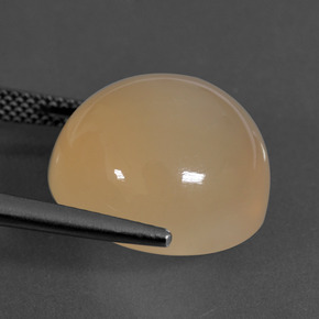 16.94克拉天然月长石，圆形切割，半透明