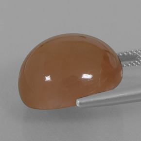 23.28克拉天然月长石，圆形切割，半透明