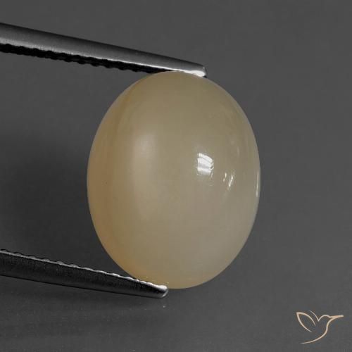 6.84ct 天然 中浅棕色 月长石, 椭圆形, 半透明