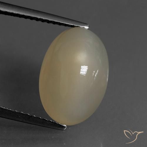 6.82ct 天然 浅玉米饼棕色 月长石, 椭圆形, 半透明