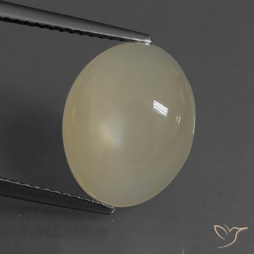 6.24ct 天然 浅咖啡棕 月长石, 椭圆形, 半透明