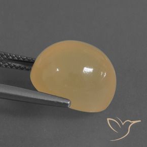 8.64克拉天然金色月光石，椭圆形切割，13×10.1毫米，半透明