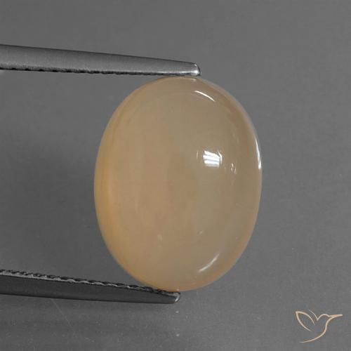 6.15ct 天然 哈密瓜橙 月长石, 椭圆形, 半透明