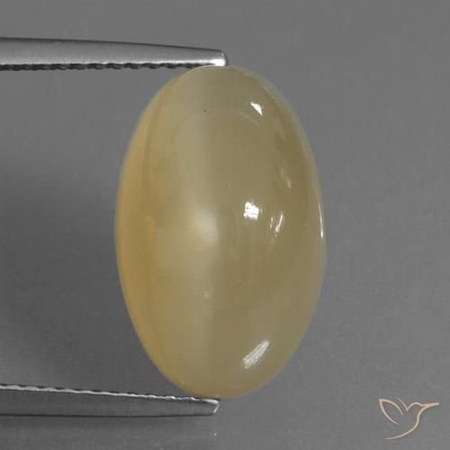 8.83ct 天然 淡棕色 月长石, 椭圆形, 半透明