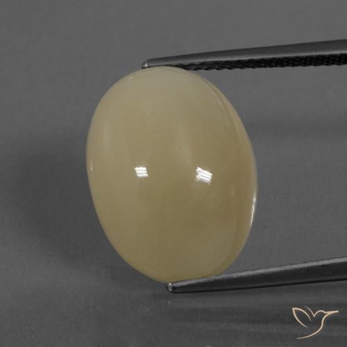 11.29ct 天然 中浅棕色 月长石, 椭圆形, 半透明