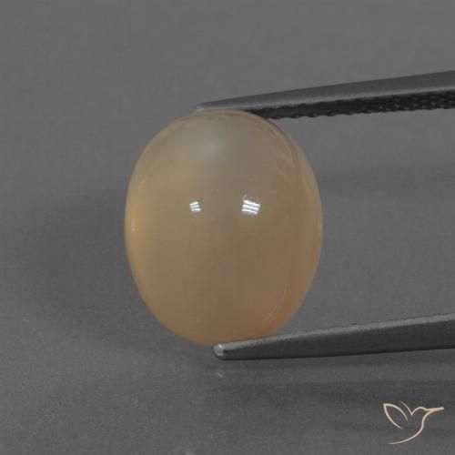 5.95ct 天然 浅棕色 月长石, 椭圆形, 半透明