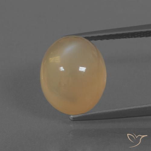 5.20ct 天然 浅棕色 月长石, 椭圆形, 半透明