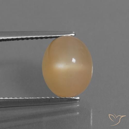 5.32ct 天然 橙金 月长石, 椭圆形, 半透明