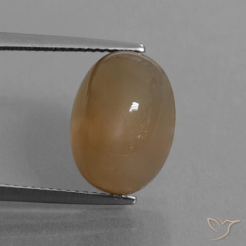 9.55ct 天然 浅焦糖棕 月长石, 椭圆形, 半透明