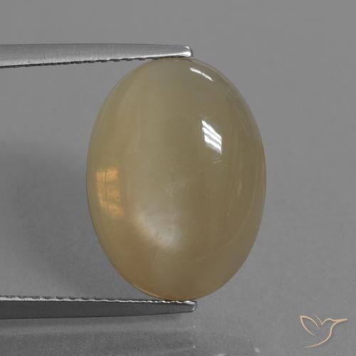 7.18ct 天然 中深橙色 月长石, 椭圆形, 半透明
