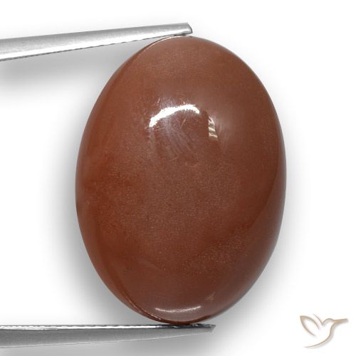 20.59ct 天然 中褐色 月长石, 椭圆形, 半透明