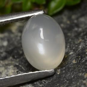 1.58克拉天然白色月光石，椭圆形切割，8.1×6.1毫米，半透明