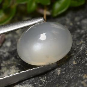 1.58克拉天然白色月光石，椭圆形切割，8.1×6.1毫米，半透明