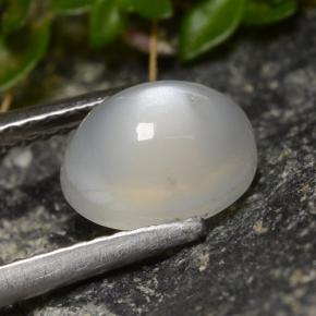 1.58克拉天然白色月光石，椭圆形切割，8.1×6.1毫米，半透明