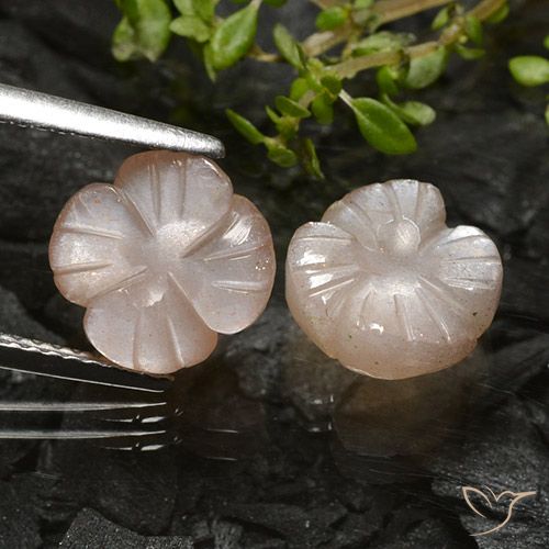 5.09ctw 天然 浅焦糖棕 月长石, 花形切割, 半透明