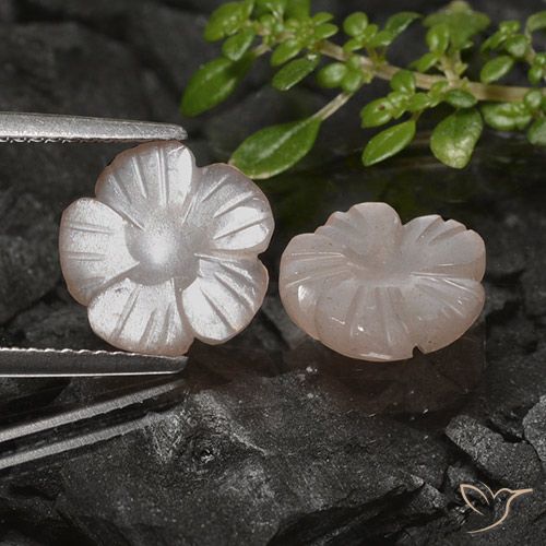 4.83ctw 天然 浅焦糖棕 月长石, 花形切割, 半透明