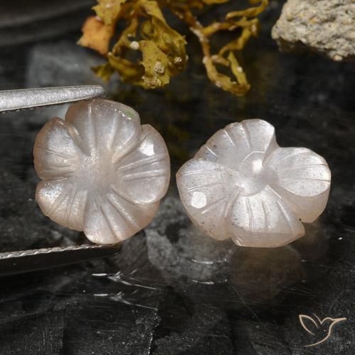3.75ctw 天然 浅焦糖棕 月长石, 花形切割, 半透明