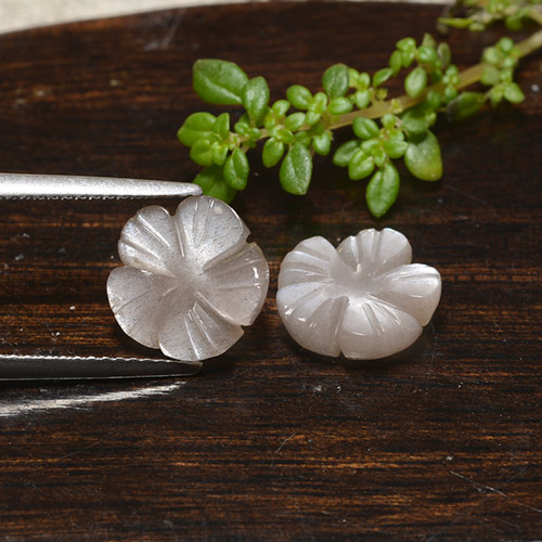 5.11天然棕色月光石，花形切工，10.2×9.9毫米，半透明