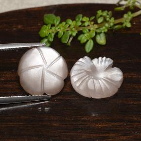 9.95天然棕色月光石，花形切工，12.2×12.2毫米，半透明