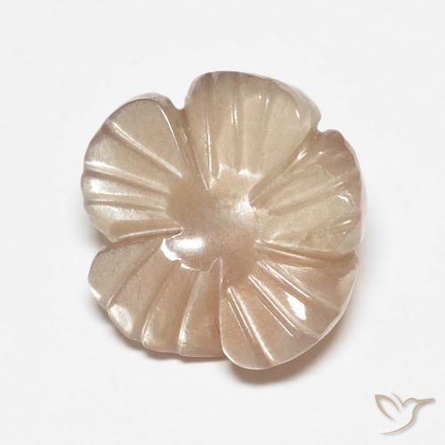 4.14ct 天然 非常浅的棕色 月长石, 花形切割, 半透明