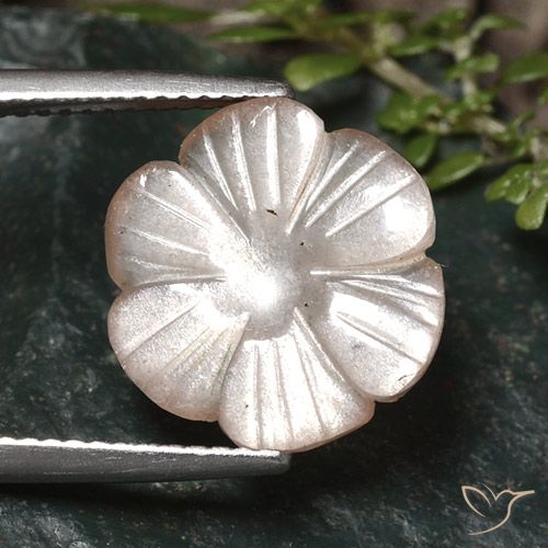 5.24ct 天然 非常浅的棕色 月长石, 花形切割, 半透明