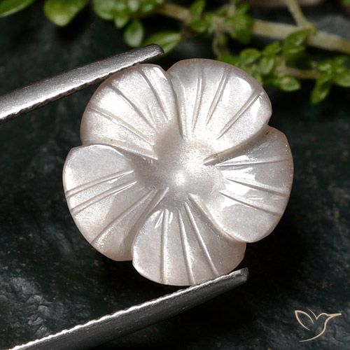 6.68ct 天然 非常浅的棕色 月长石, 花形切割, 半透明