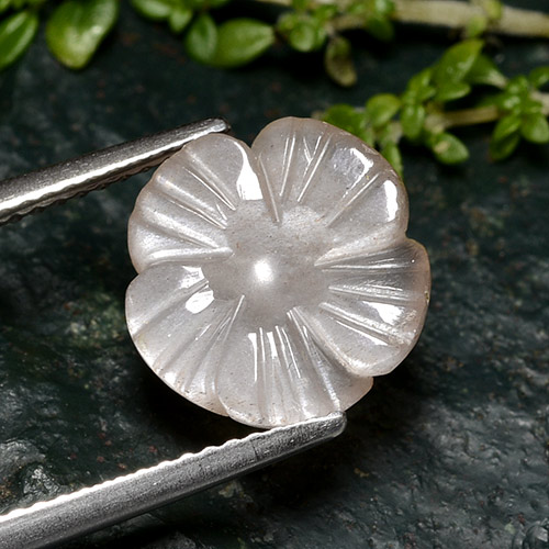 3.60克拉天然粉色月光石，花形切工，11.4×11.3毫米，半透明
