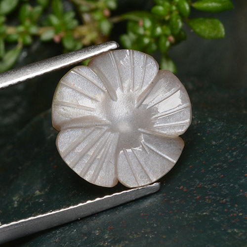5.29克拉天然棕色月光石，花形切工，13.1×13毫米，半透明