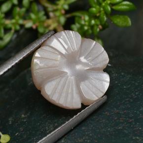 5.29克拉天然棕色月光石，花形切工，13.1×13毫米，半透明